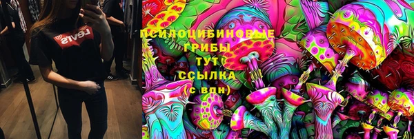 мяу мяу мука Бугульма